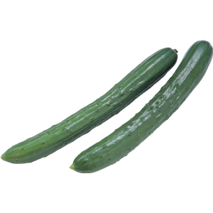 Cucumber PNG-12627